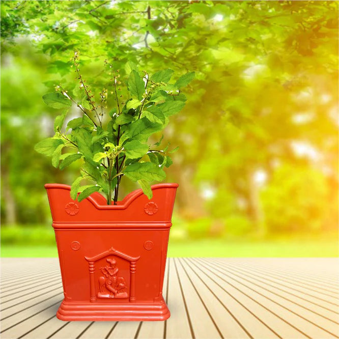Tulsi Plant Pot with Tray