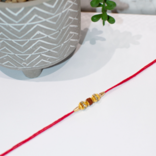 Rudraksh Rakhi, Rudraksh Rakhri