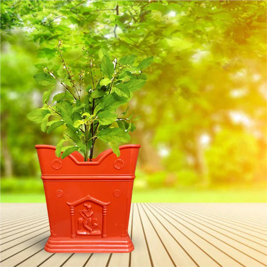 Tulsi Plant Pot with Tray